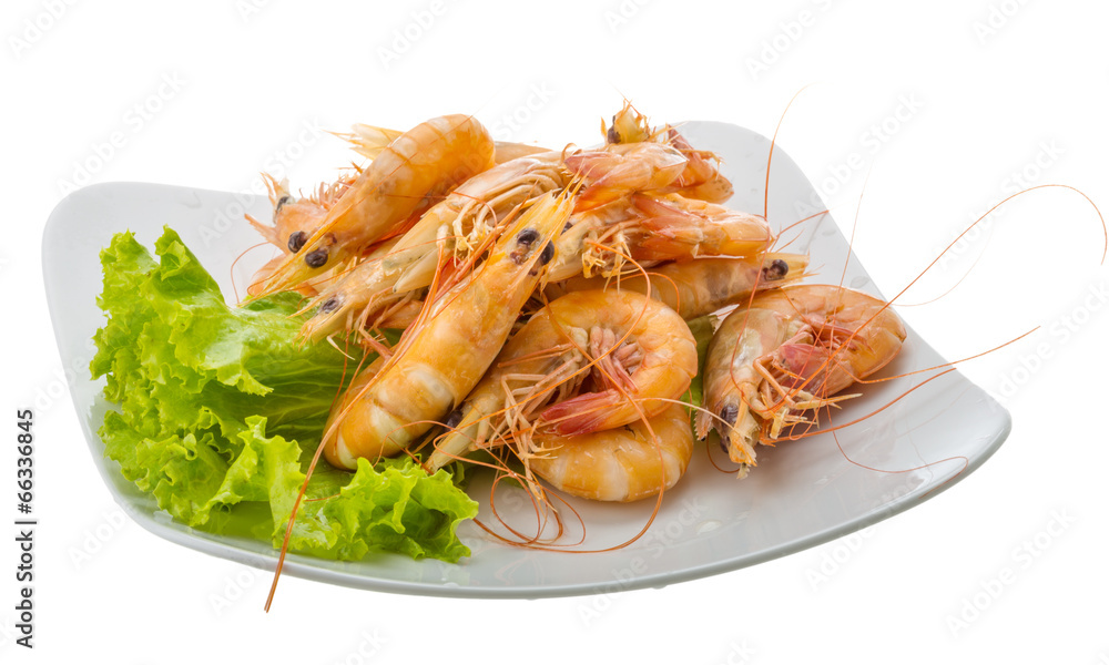 Big tiger shrimps Big tiger shrimps
