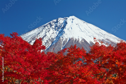 富士山と紅葉