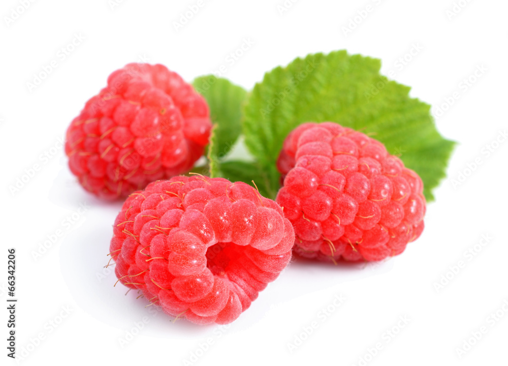 Raspberry isolated on white background. Raspberry isolated on white background.