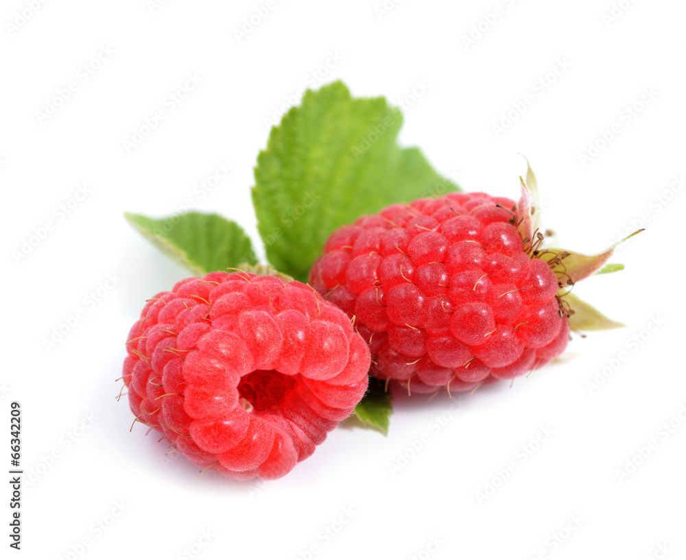 Raspberry isolated on white background. Raspberry isolated on white background.