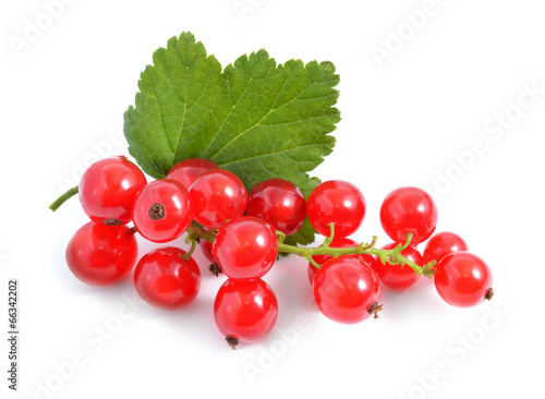 Redcurrant isolated on white background