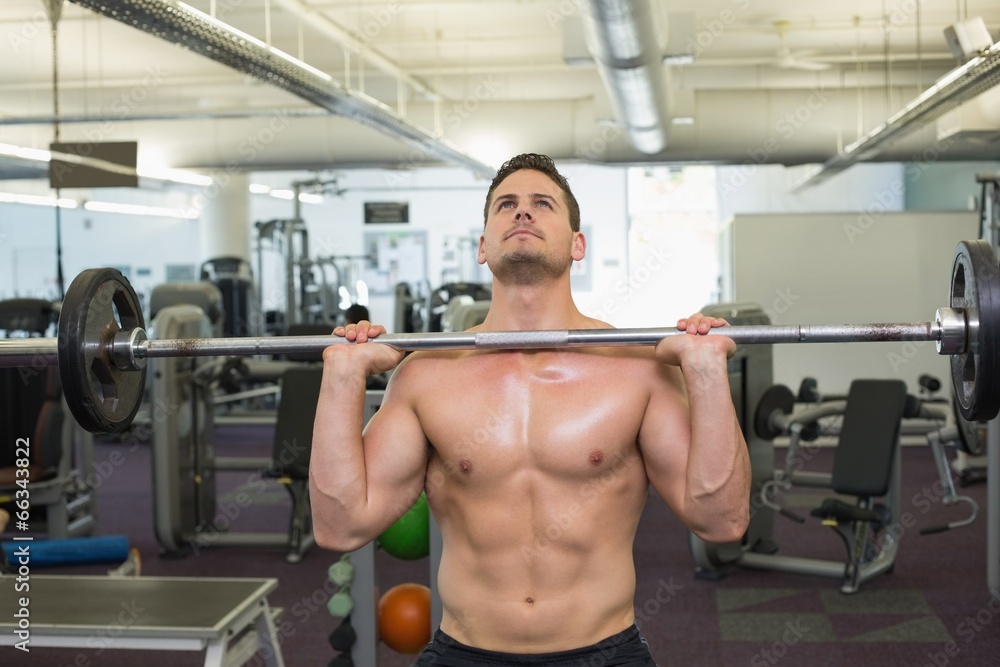 Shirtless bodybuilder lifting heavy barbell weight Shirtless bodybuilder lifting heavy barbell weight
