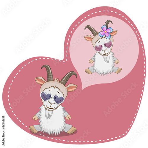 Dreaming Goat