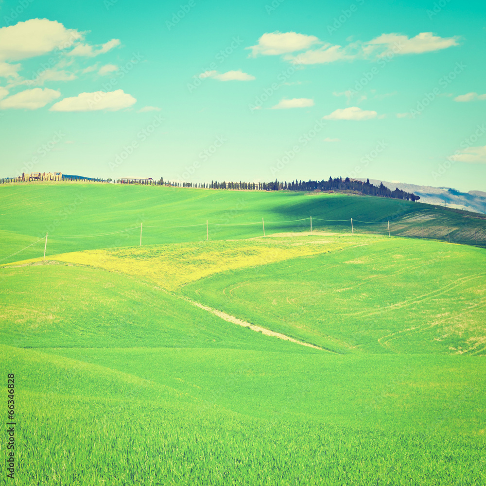 Fototapeta premium Sloping Meadows