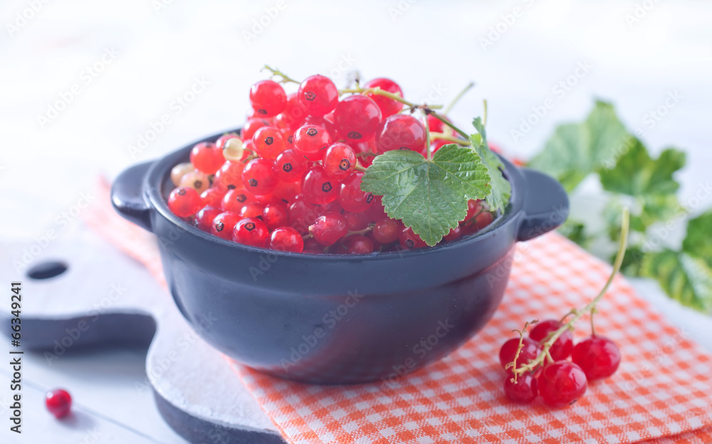 red currant red currant