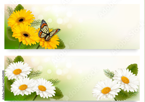 Summer banners with colorful flowers and butterfly. Vector.