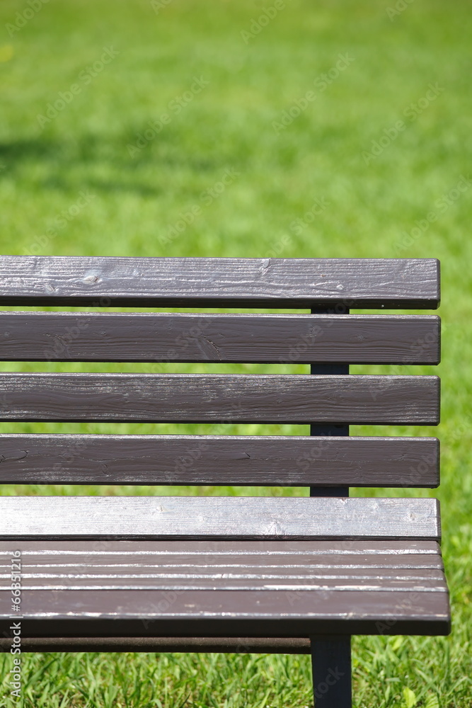 A wooden bench in summer at park A wooden bench in summer at park