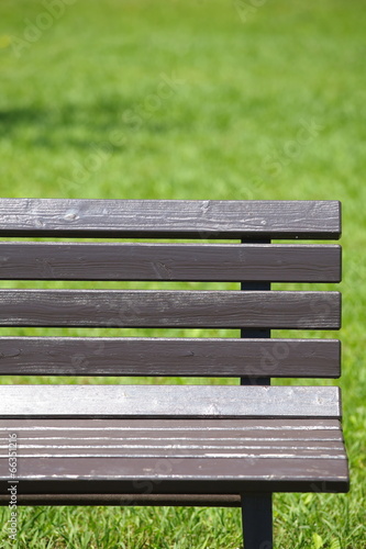 A wooden bench in summer at park