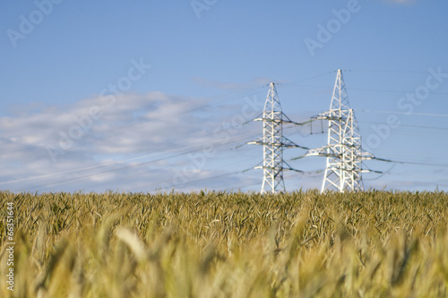 industry