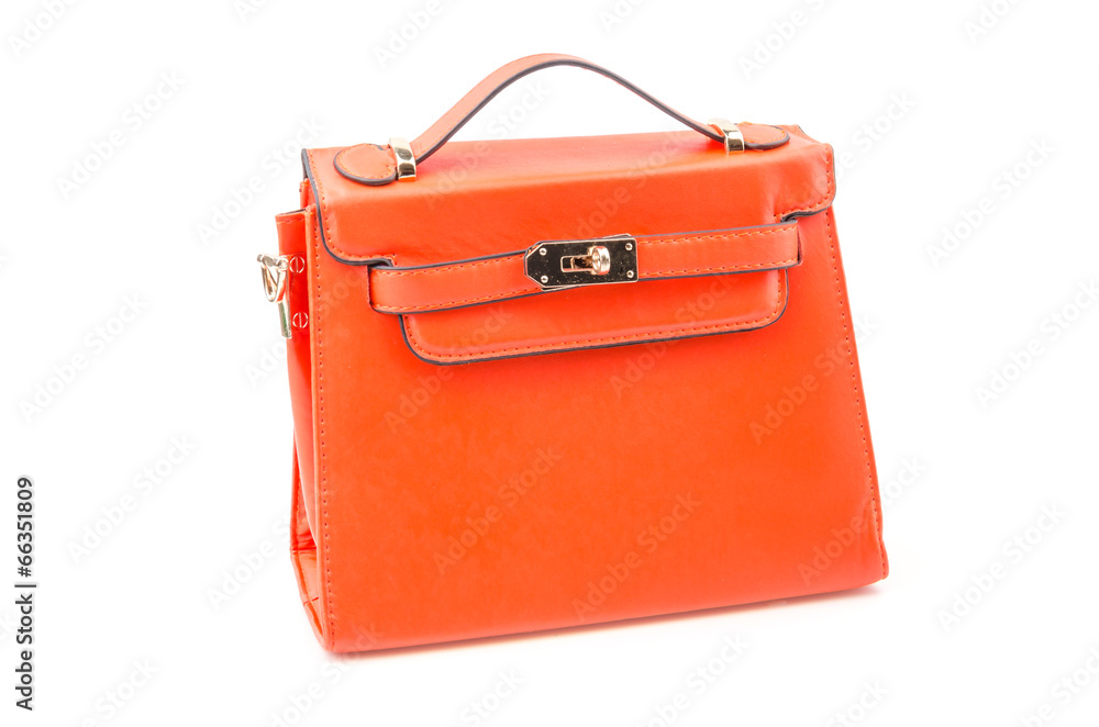 Handbag isolated white background Handbag isolated white background