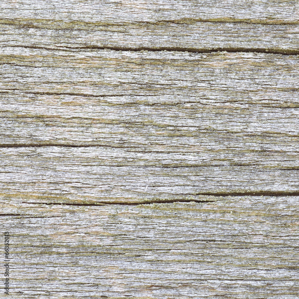 Fototapeta premium zbliżenie naturalny biały i stary struktura drewna