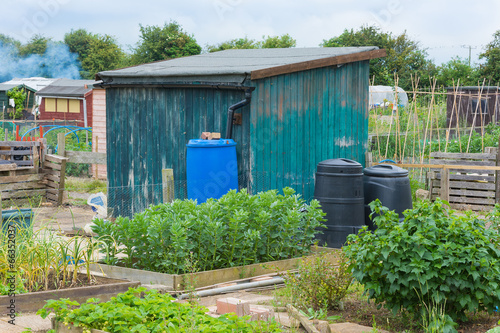 Slika na platnu Allotment shed with compost bins and water butt