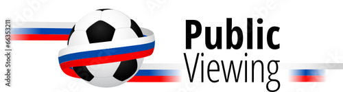 Public Viewing