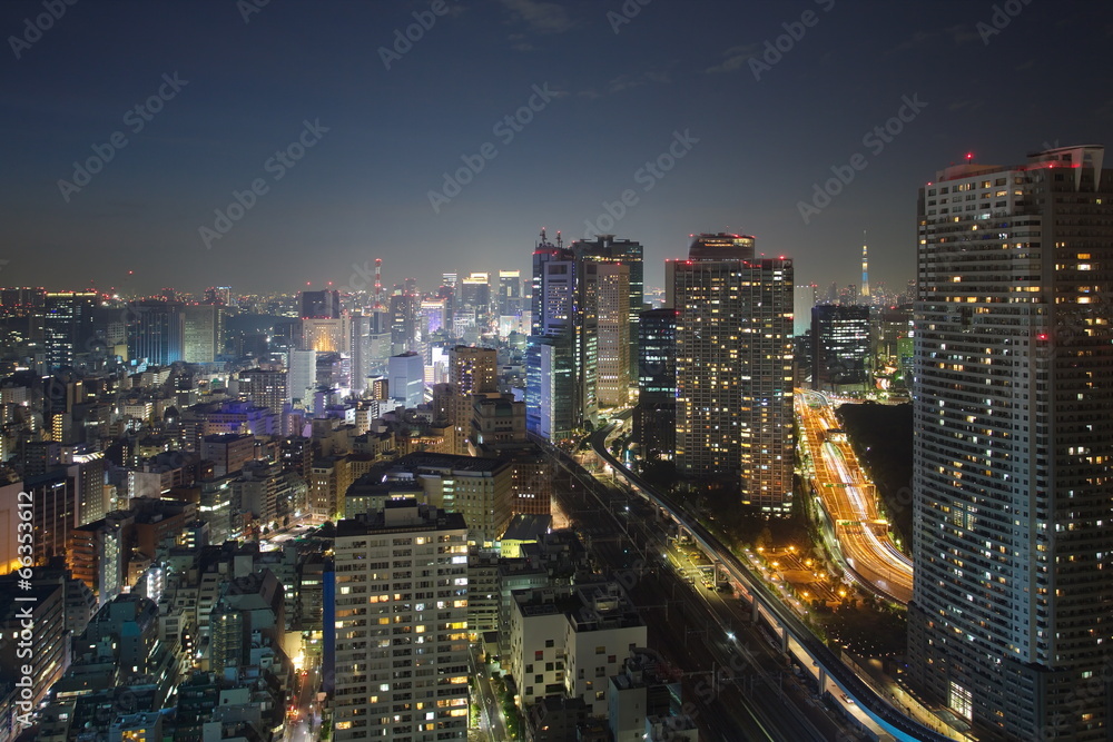 Tokyo skyline at central of tokyo in night time