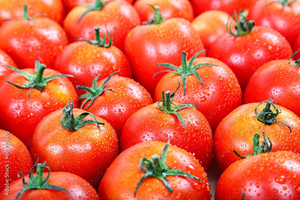 Fresh red tomato in the drops of water as a backdrop. Fresh red tomato in the drops of water as a backdrop.