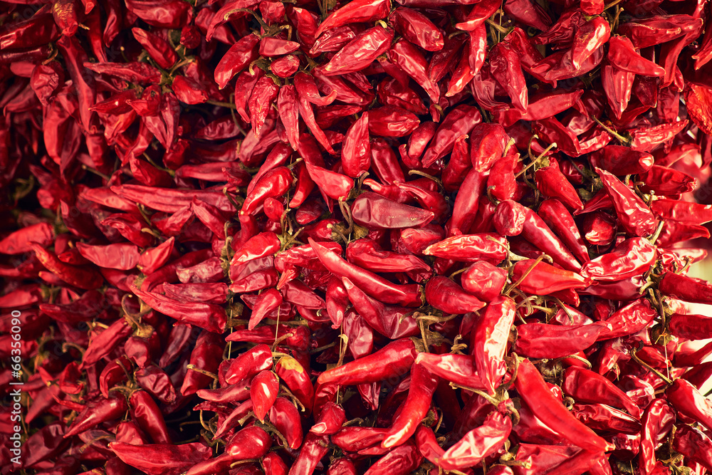 Fototapeta premium Pepper