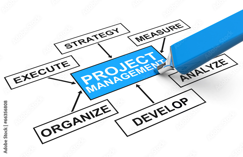 project management project management