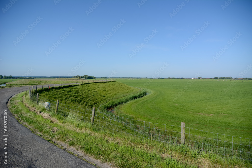 Fototapeta premium Dutch landscape with dyke and meadow