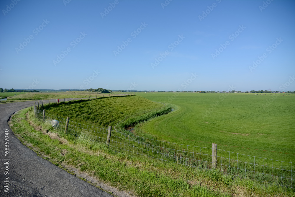 Dutch landscape with dyke and meadow