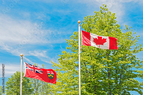 Canadian and Ontario flag, trees and sky at the background. photo