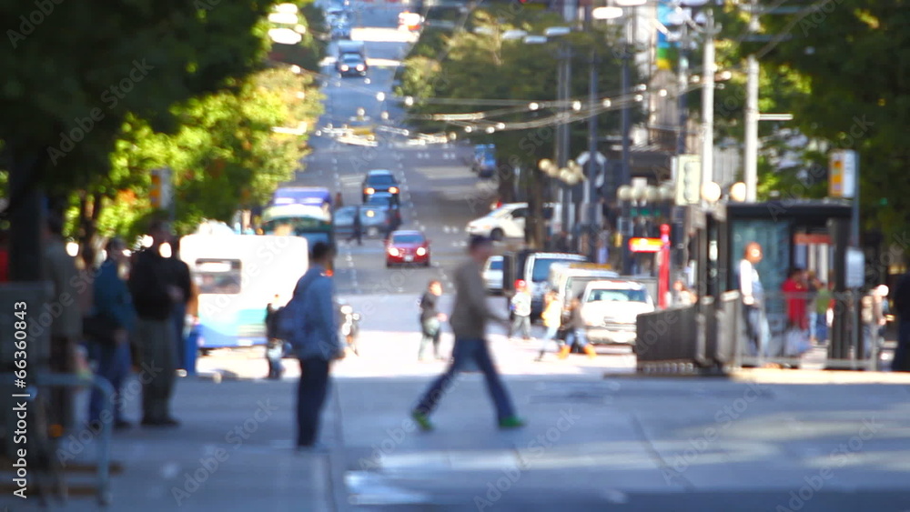 City Pedestrian Traffic City Pedestrian Traffic