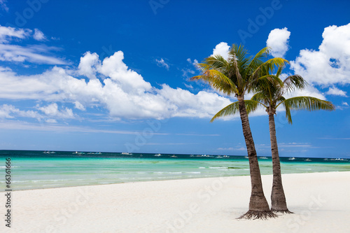  Idyllic tropical beach © BlueOrange Studio