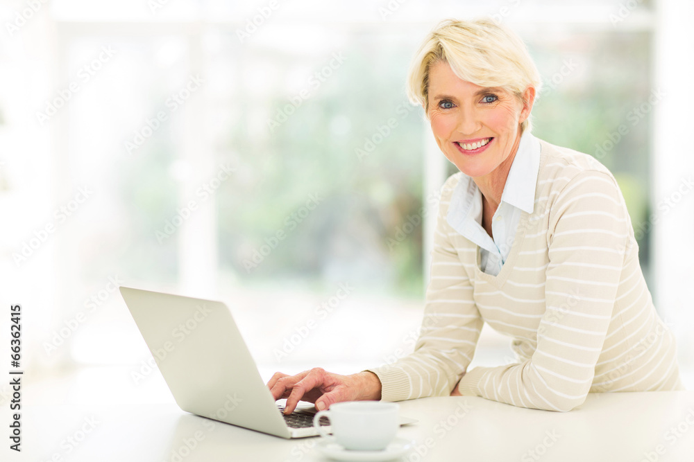 middle aged woman using computer middle aged woman using computer