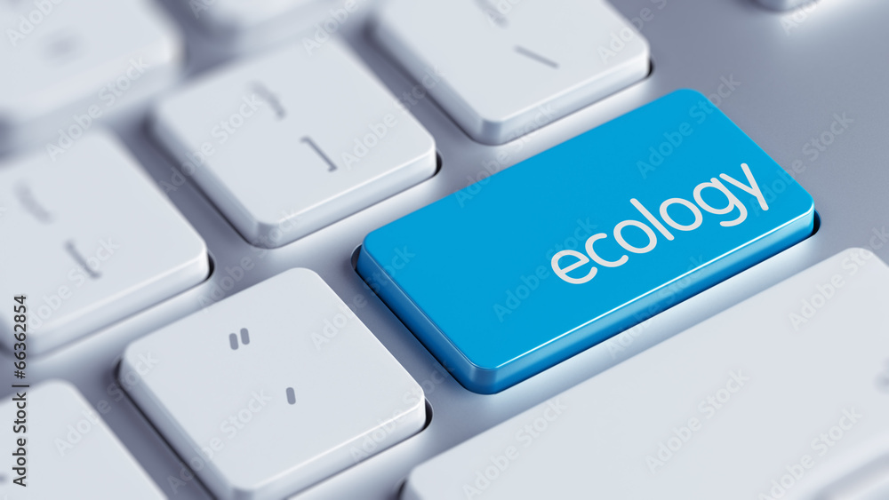 Ecology Concept Ecology Concept
