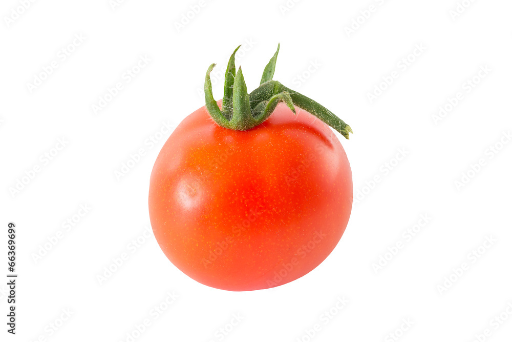 custom made wallpaper toronto digitalEntire tomato