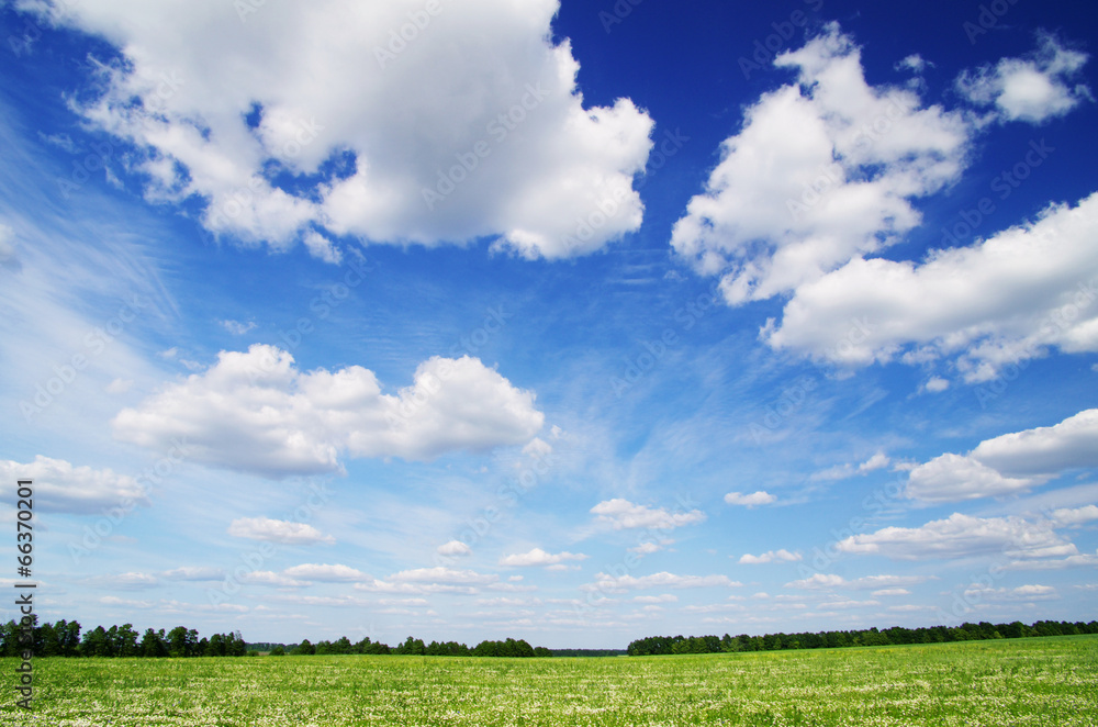 field field