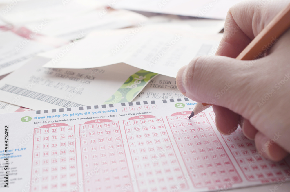 Naklejka premium Person marking number on lottery ticket