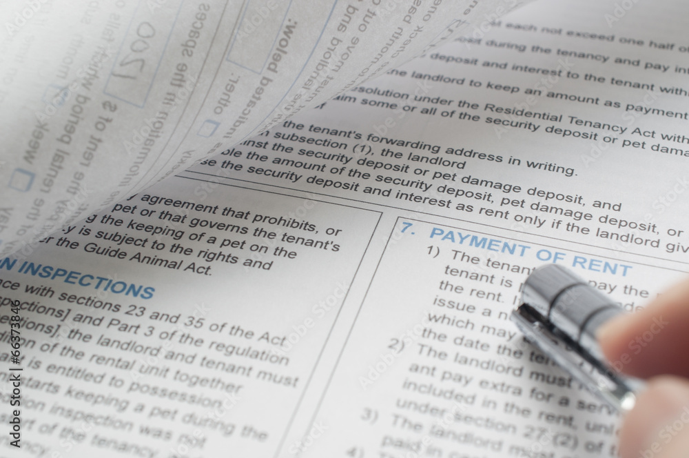 Obraz premium Reading residential tenancy agreement