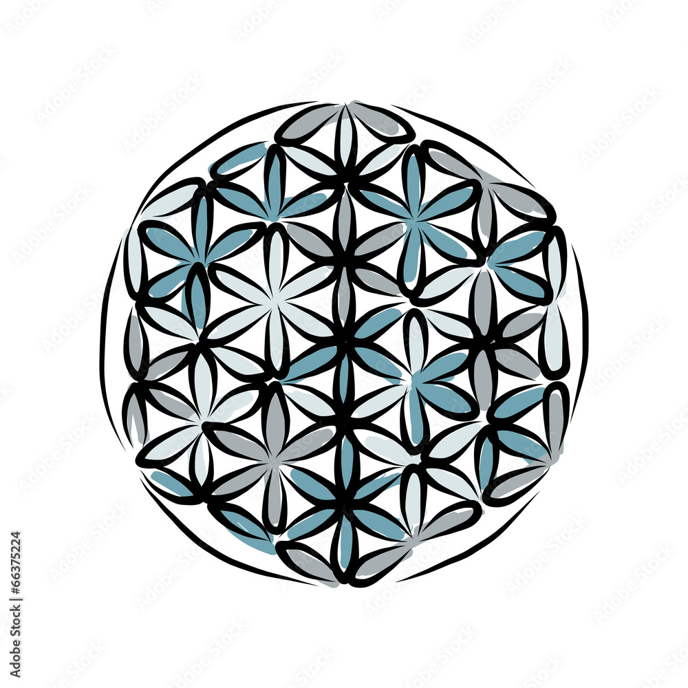 Flower of Life, sketch for your design Flower of Life, sketch for your design