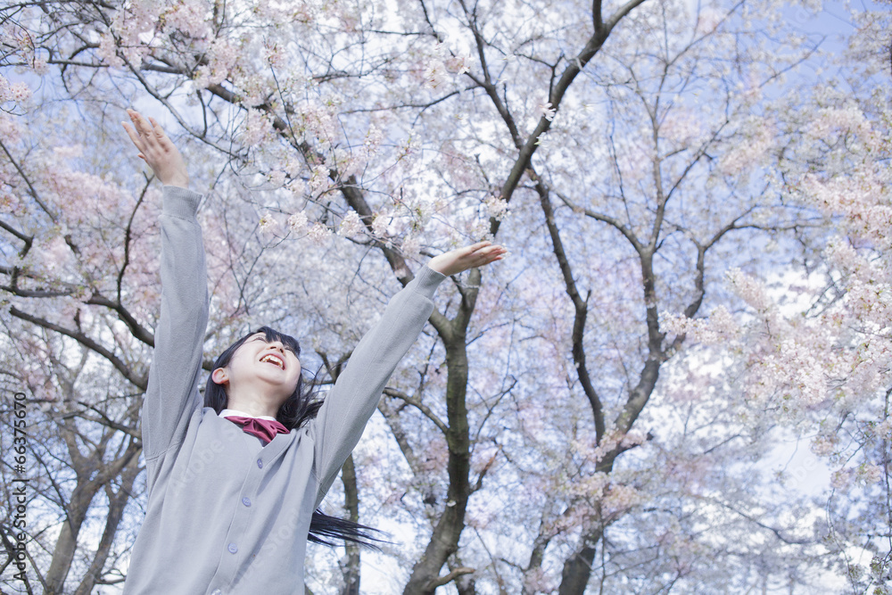 桜の花びらを撒く高校生