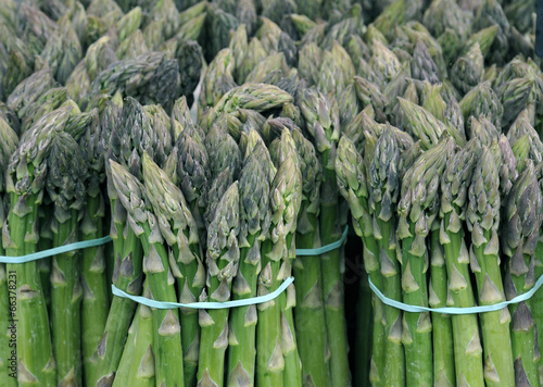 Bundles of green asparagus