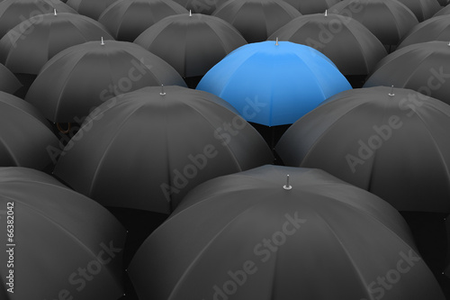 Many black umbrellas. One blue unique umbrella
