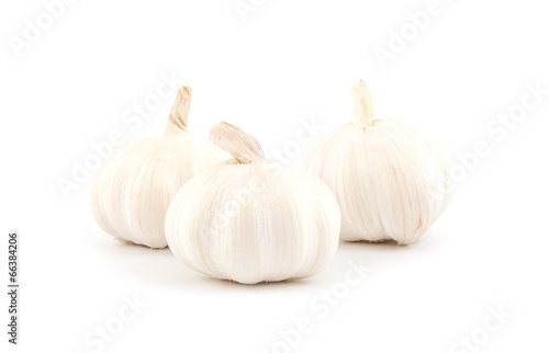 Fresh garlic bulbs