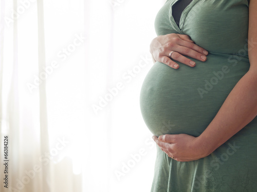 Pregnant young woman holding her belly