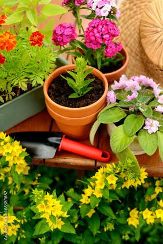 Flower pots and shovel pot in green garden