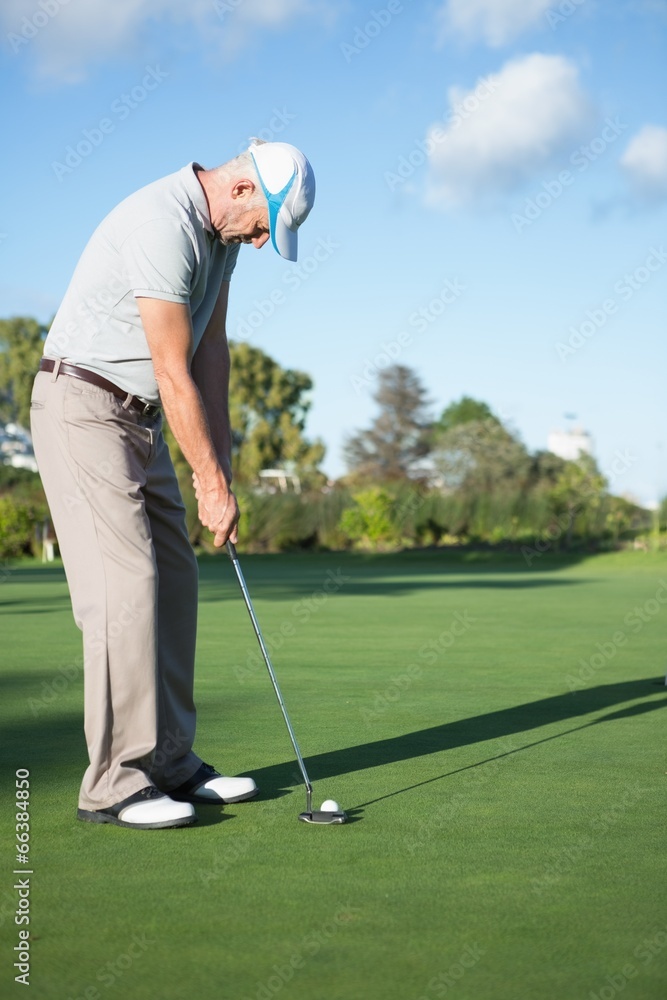 Fototapeta premium Handsome golfer putting ball on the green