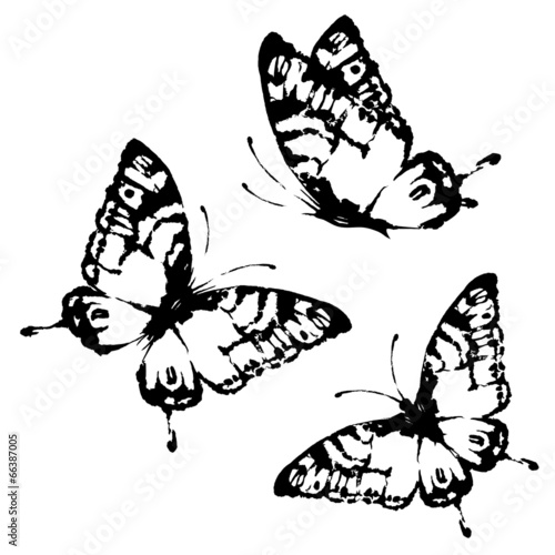 butterflies design