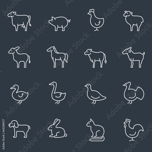 Farm animals