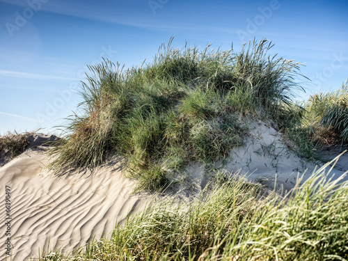 Dune on Rindby beach on the island Fanoe photo