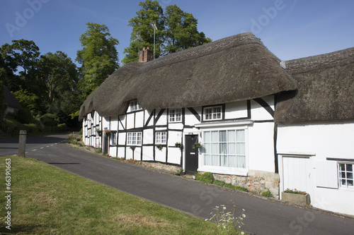 Slika na platnu Timber framed thatched cottages Hampshire England UK