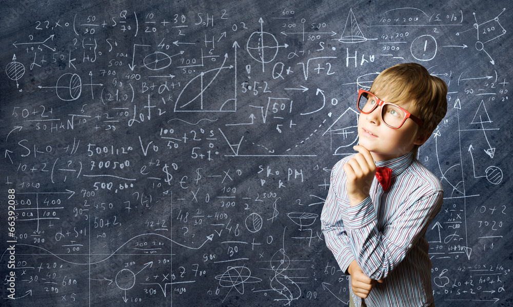 Smart schoolboy Smart schoolboy