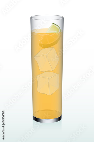 Orange Refreshment