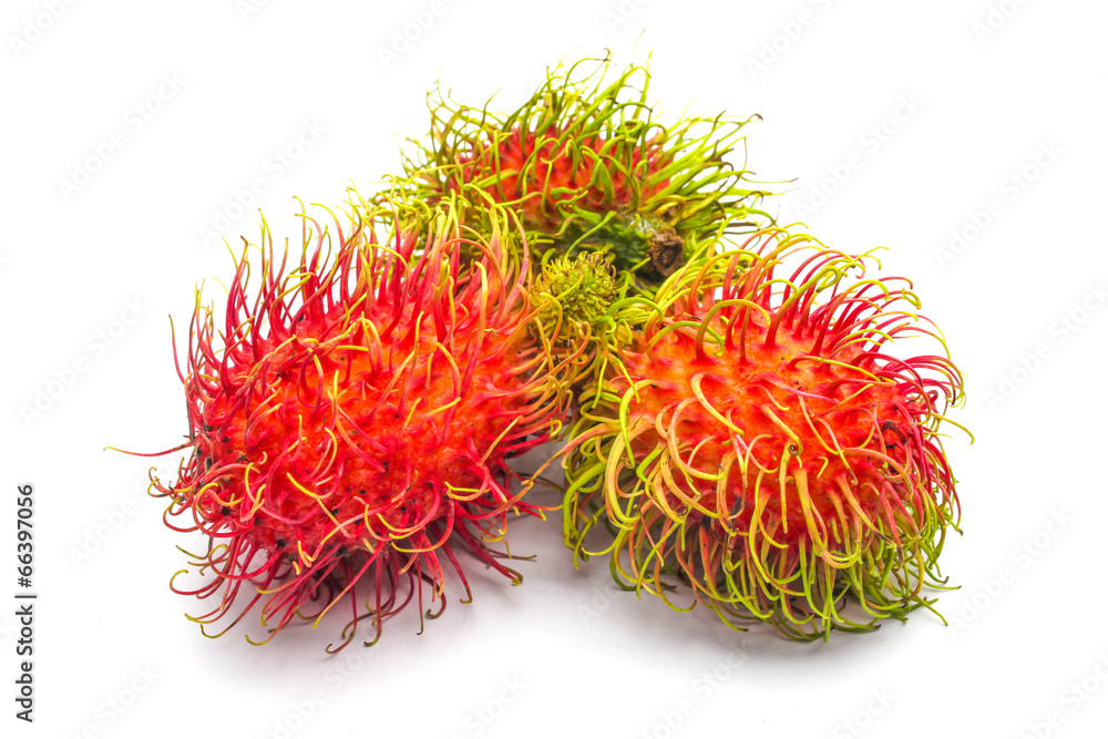 An isolated rambutan An isolated rambutan
