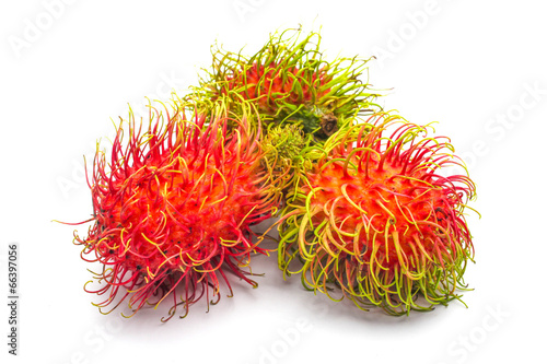 An isolated rambutan