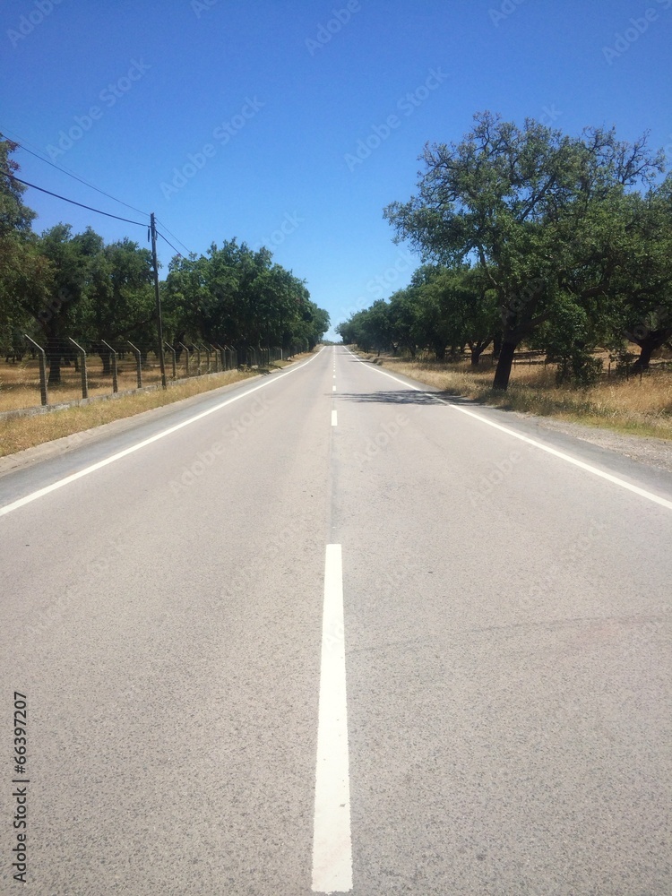 Fototapeta premium empty road