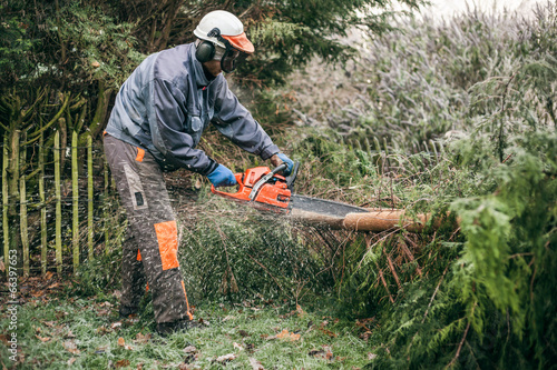 Professional gardener using chainsaw